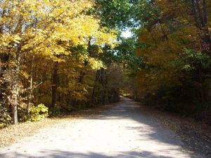 Tunnelville Road-rustic road